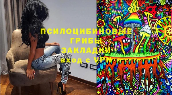 spice Вязники