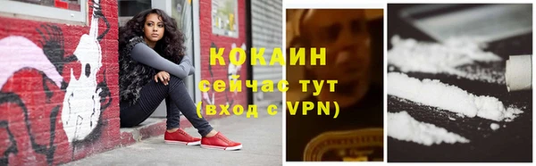 spice Вязники