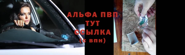 прущая мука Вяземский