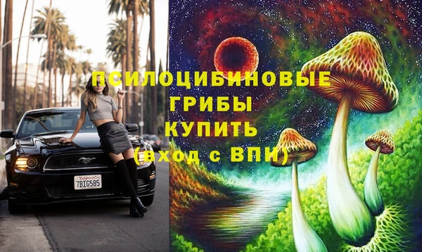 прущая мука Вяземский