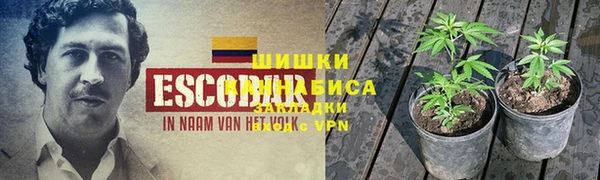 прущая мука Вяземский