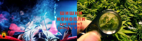 прущая мука Вяземский